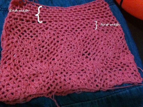 AngieHeart's Crocheted Lace Shorts: Other Half Showing Two Layers of Lace Mesh